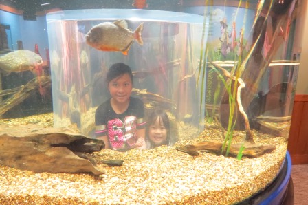 Chattanooga Aquarium